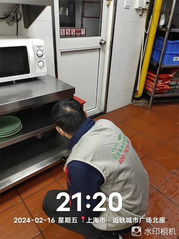 灭蟑螂