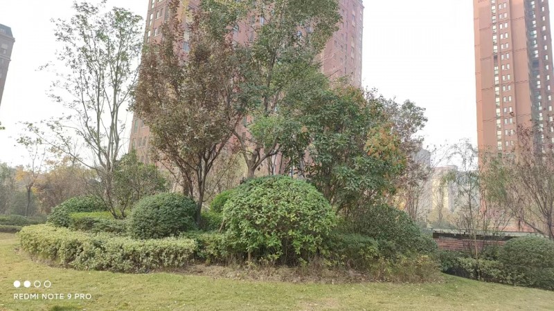 社区虫鼠害防制
