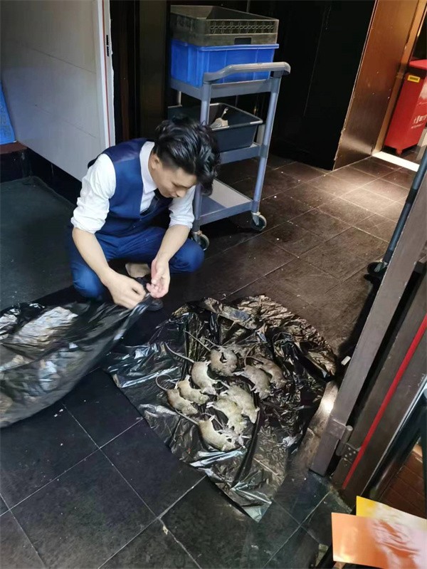 灭鼠