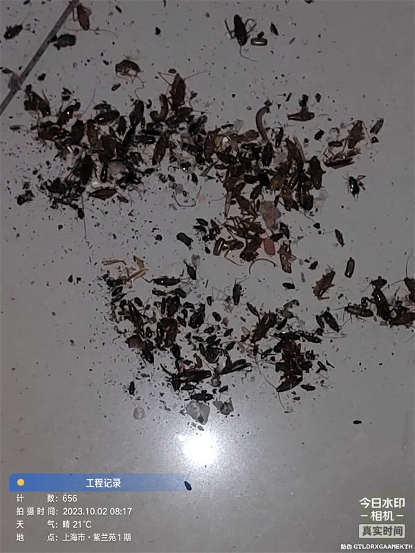 灭蟑螂