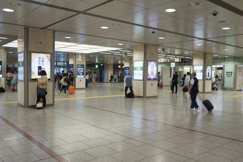 机场虫害防制